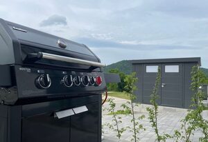 Diemelblick 17