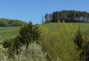 Wohnung in Heringhausen mit Grill