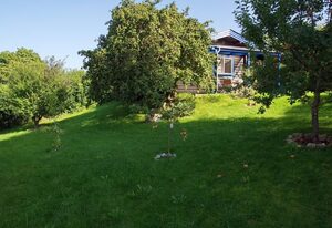 Diemelsee / Sudeck - Ein Ferienhäuschen zum WOHLFÜHLEN