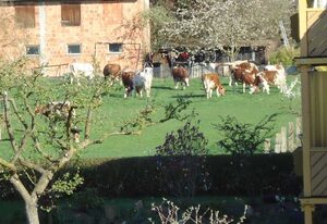 Ferienwohnungen Hof Münch – Ferienwohnung 2 (Dachgeschoss)