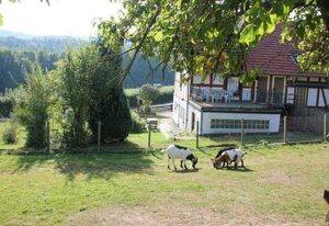 Ferienwohnungen Kupille – Ferienwohnung Bärenhöhle