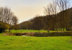 Komfortables Ferienhaus in purer Natur