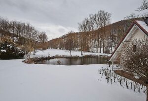 Komfortables Ferienhaus in purer Natur