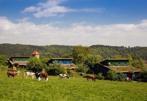 Ferienhaus Schöneweiß – Schäferwagen