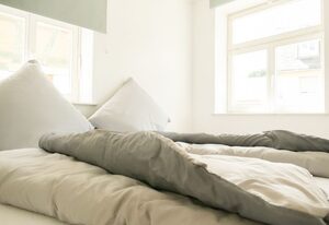 Ferienwohnung Neu "Zum Westerwald" (LAHN01)