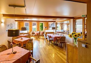 NR Hotel Restaurant Schneider – Einzelzimmer mit Du/WC