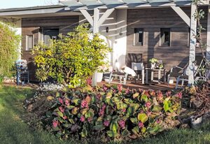 Mit Liebe ausgestattetes Haus im Naturpark