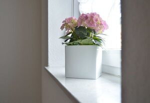 Ferienwohnung Sporn
