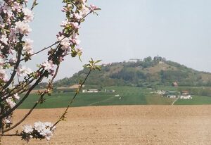 Amöneburg in Amöneburg
