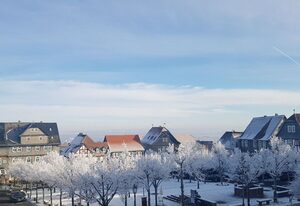 Amöneburg in Amöneburg