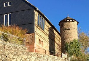 Amanahof – Turmfalke