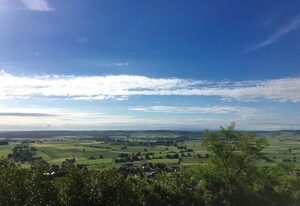 Amanahof – Turmfalke