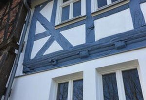 Amanahof – Turmfalke
