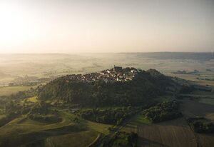 Amanahof – Turmfalke
