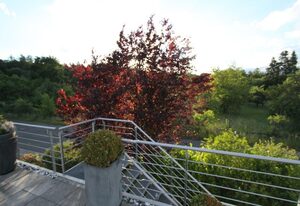 Zweit-Traumwohnung – Komfortable Ferienwohnung mit großer Terrasse