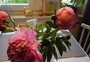 Ferienwohnung Blumengarten – Appartement/Fewo, Dusche oder Bad, WC, neuwertig