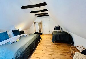 AyCatcherHomes - Luna Boutique Duplex Apt 3BR 2BA 7G Old Town Marburg