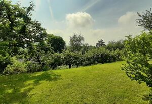 Ferienwohnung Eckhardt – ruhige Ferienwohnung (42 qm) mit Waldblick