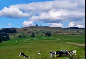 RHÖN GLÜCK – Die Ferienwohnung mit Weitblick – Ferienwohnung (60qm) mit Weitblick