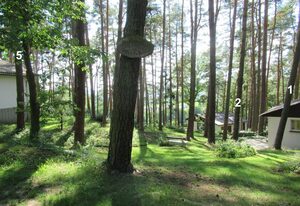 Feriendorf Mengshausen 1
