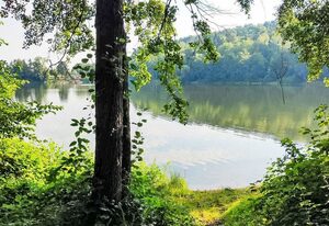 Tim´s Alm am Silbersee – Ferienwohnpark Silbersee .1