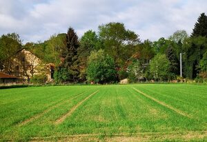 Ferienwohnungen Mühlradblick