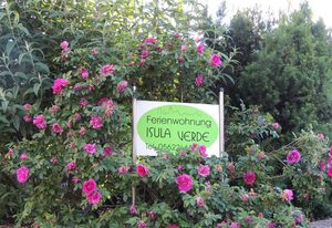 Ferienwohnung Isula Verde