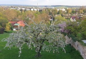 Ferienwohnung Regilturm