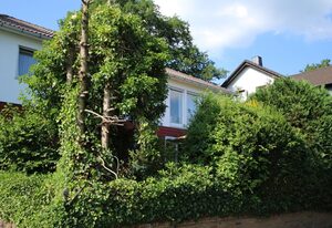 Ferienwohnung Zum Rosengarten Driedorf – 3 Sterne Unterkunft im Westerwald mit Komfort & zentraler Lage