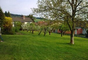 Odenwaldblick Michelstadt – Ferienwohnung Odenwaldblick
