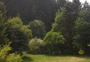 in Kuhklingen mit Großer Terrasse