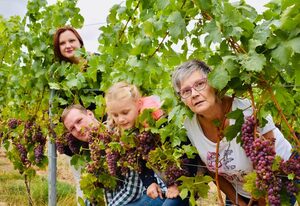 Ferienwohnung Weingut Kurt Bug – Ferienwohnung Rosina 1 Erw. und 1 Kind > 4 Jahre