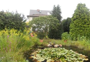 Gästehaus unter den Weinbergen – Einzelzimmer, Dusche, WC