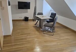 Schöne Vollausgestattete Monteurs- Gästewohnung nähe Raffinerie Leuna und Geiseltalsee / 0307