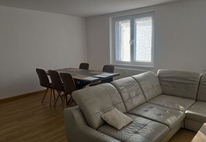Schöne Vollausgestattete Monteurs- Gästewohnung nähe Raffinerie Leuna und Geiseltalsee / 0304