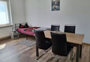 Schöne Vollausgestattete Monteurs- Gästewohnung nähe Raffinerie Leuna und Geiseltalsee / 0303