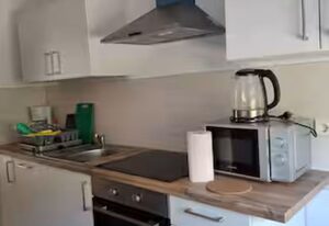 Schöne Vollausgestattete Monteurs- Gästewohnung nähe Raffinerie Leuna und Geiseltalsee / 0303