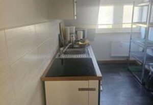 Schöne Vollausgestattete Monteurs- Gästewohnung nähe Raffinerie Leuna und Geiseltalsee / 0308