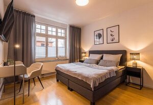 Scandinavian Business Apartment