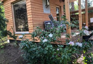 Reetdach Ferienhaus am Lübbesee Sauna Bootsteg neu