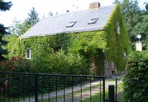 Ferienwohnung Wolf