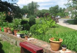 Wohnung in Haselberg mit Großem Garten