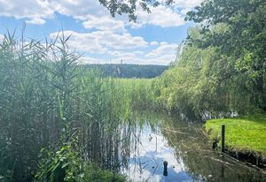 am Pälitzsee