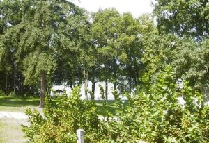 Ferienhäuschen am Strandbad Lychen, Bungalow
