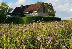 Ferienhaus Gransee / unmittelbar am Stechlinsee - Radweg