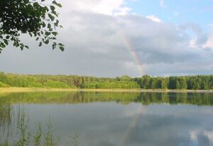 Hotel - Restaurant Karpfenschänke – Doppelzimmer Waldblick VIII (großzügig und gemütlich)