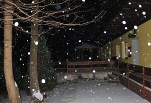 Hotel - Restaurant Karpfenschänke – Doppelzimmer Waldblick VIII (großzügig und gemütlich)