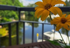 Wasserblick 4