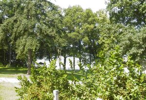 Bungalow am Strandbad – Bungalow Lychen
