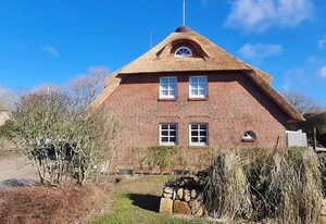 Lazy Oyster Sylt